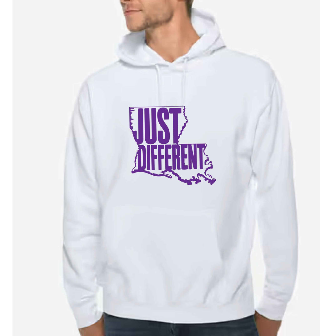 Three-Panel Fleece Hoodie